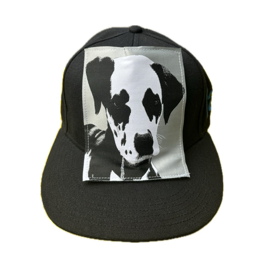 Dalmatian SnapBack