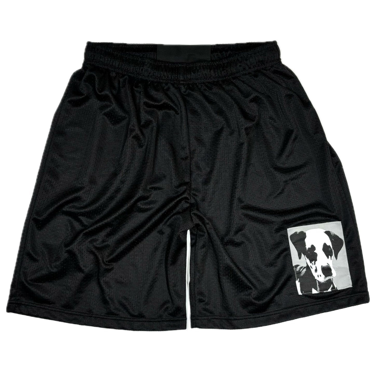 Dalmatian hoop short